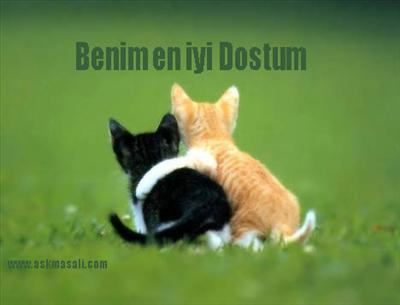 Dostmusun?Düşmanmı?