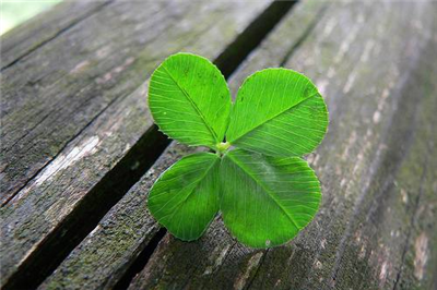lucky 