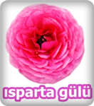 Gül Yolla! (Send A Rose)