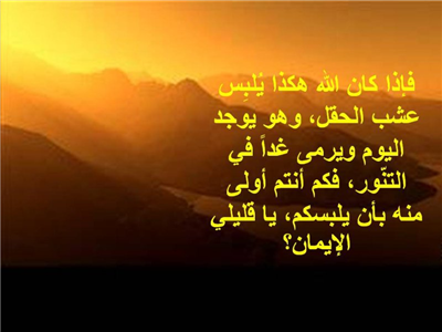 رسالة رقم 12