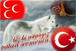 Bozkurt