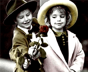 a rose