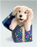 Dog-E-Gift