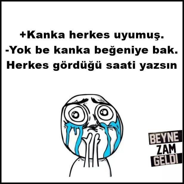 Büyüdüğünde Hangi Araban Olcak