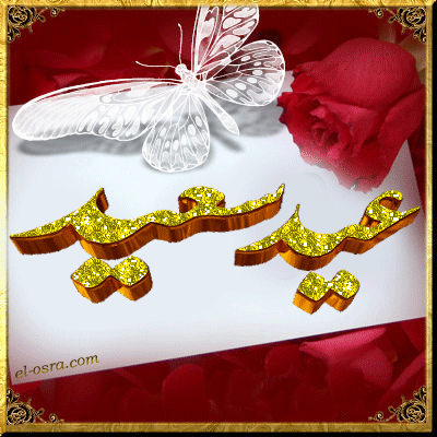 كارت 8