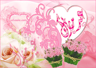 كارت 6