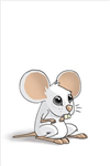 Mouse Habitat