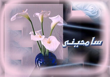 سامحينى
