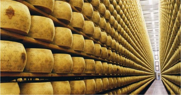 Provolone assurdo!!