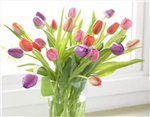 Faith's Flowers