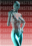 Perfect Monsters Tcg