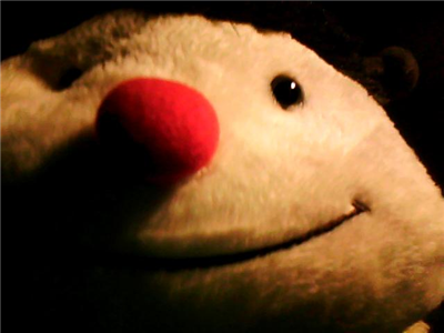 Teddy Bear