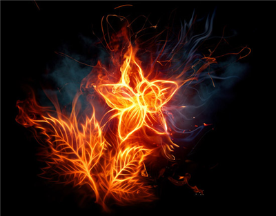 Flaming Flower of Passion