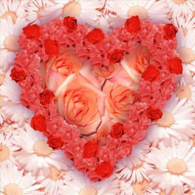 Findest Du Heute Die Wahre Liebe