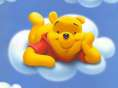 teddy