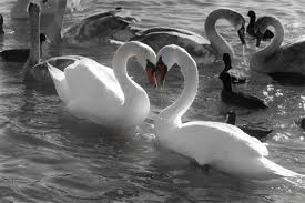 I Love You! I Do!