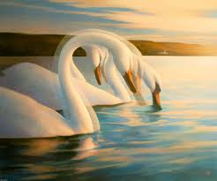 Have a Peaceful Day