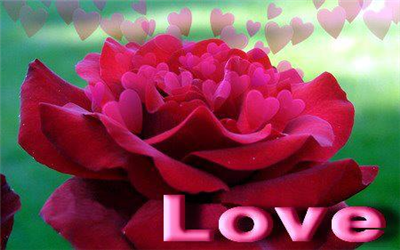 LOVE
