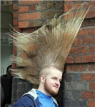 Give Some Hair!