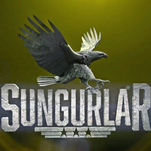 Sungurlardan Kimsin