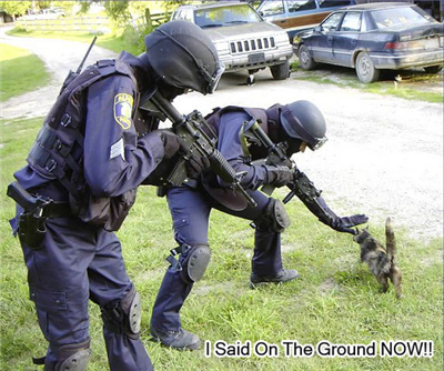 CAT'S RESISTING ARREST .
