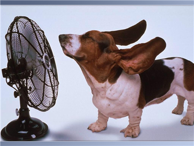 I NEED FRESH AIR 