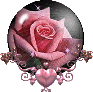 PINK ROSE
