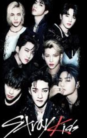 Hangi stray kids üyesisin
