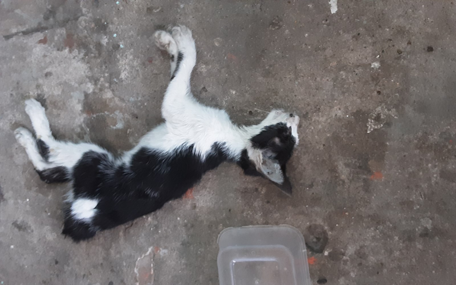 Apakah Kamu Memiliki Banyak Masalah?
