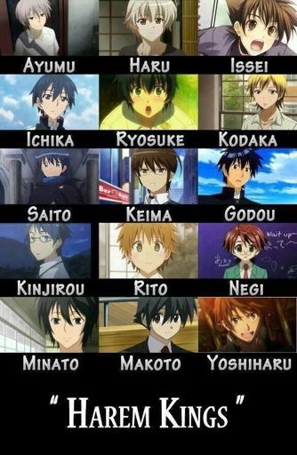 Siapakah kamu di anime harem >:)
