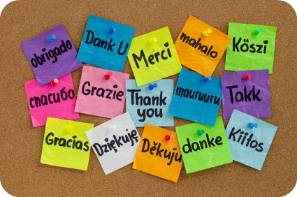 Language Resources