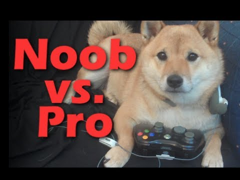 Noob O Pro En Minecraft