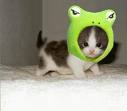 Cute Gifts!