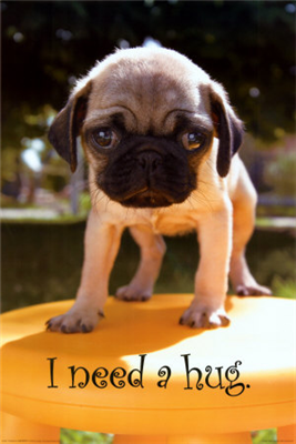 I need a hug.