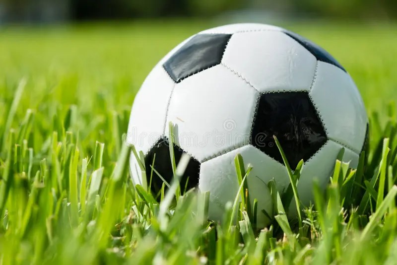 Ne kadar futbol tahminin doğru