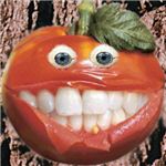Tomate