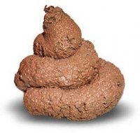 Cacca