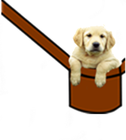 Test Que Animal Tiene Dentro