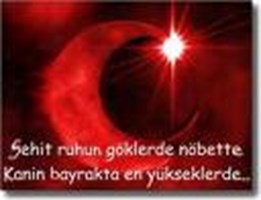 Nasıl Bir Türk