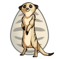 Meerkat