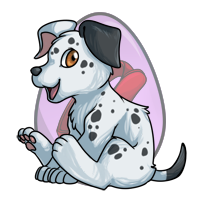 Dalmation