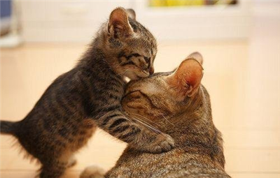 Pure Love