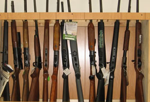 Gun