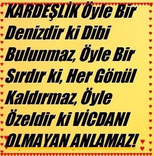 Hangi Ayakkabı Markası Sana Göre
