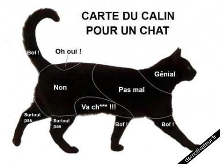 Quelle Chose Est-Tu ?