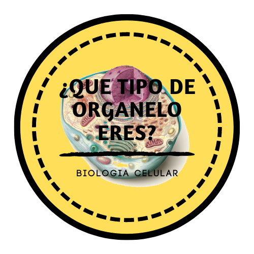 ¿Qué Tipo De Organelo Eres? 