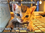 Send Your Friends A Kitten!