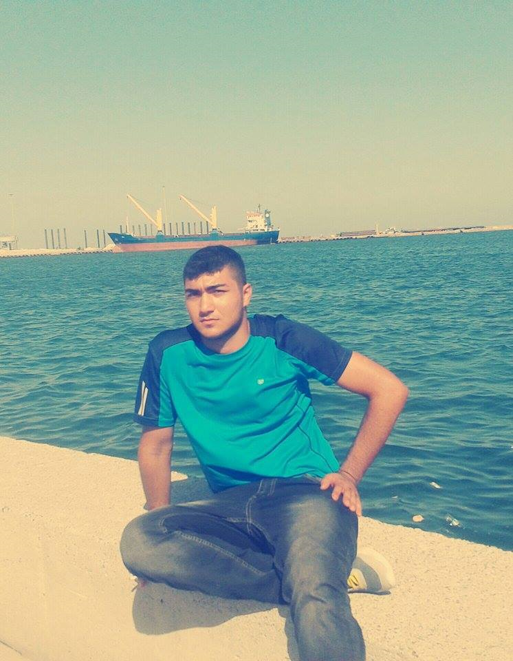 Hangi Ayısın Pardon