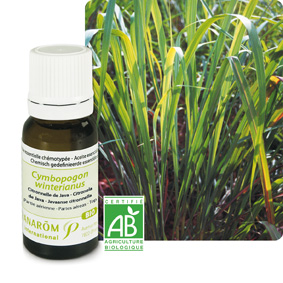 Huiles Essentielles De L'été
