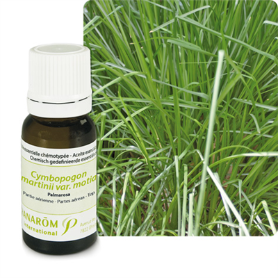 Palmarosa (cymbopogon martinii)